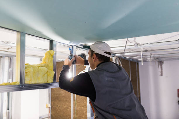 Best DIY Insulation Kits and Guidance in Brazil, IN