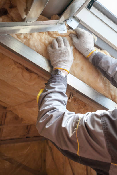 Best Insulation Maintenance and Repair in Brazil, IN