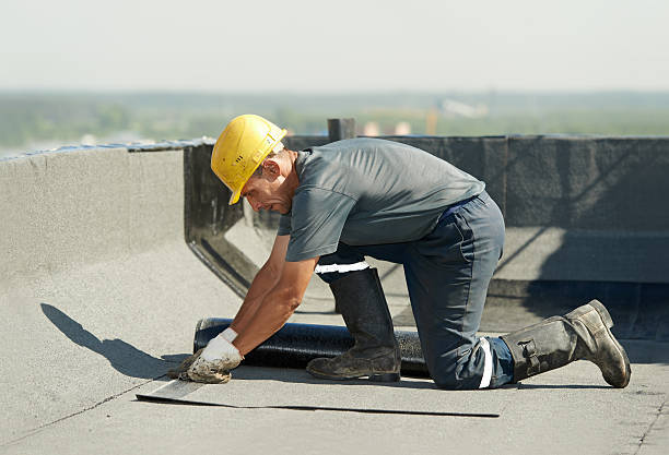 Best Energy Efficiency Insulation in Brazil, IN