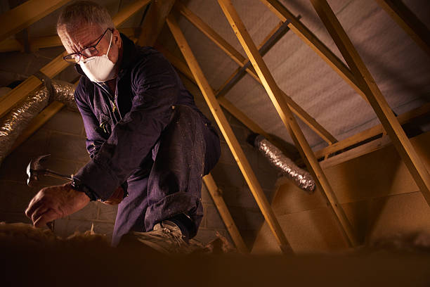 Best Insulation for Specific Applications in Brazil, IN