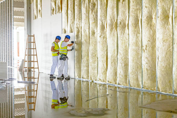Best Cellulose Insulation in Brazil, IN